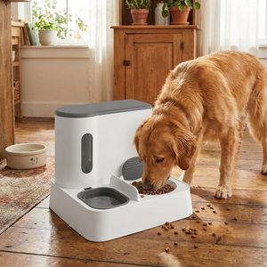 Automatic Cat Feeder & Water Dispenser