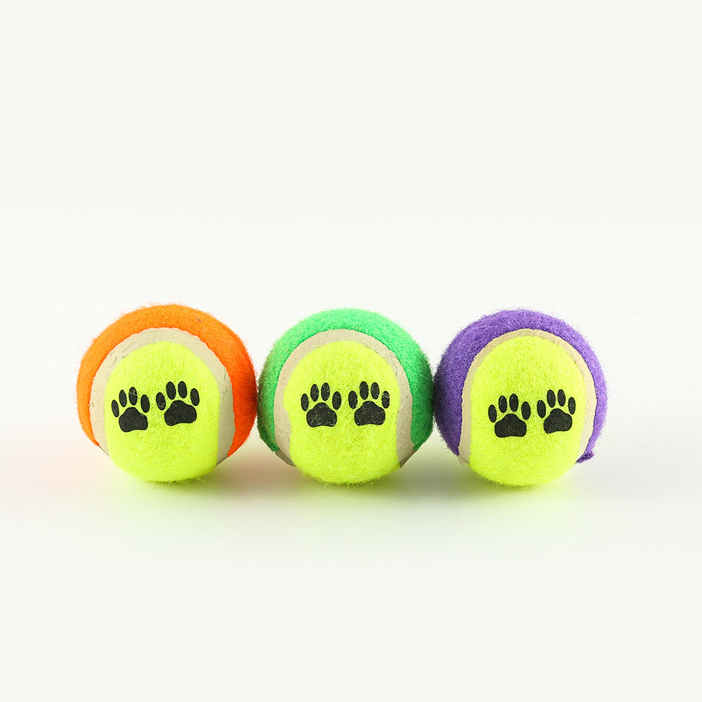 Outdoor Dog Training Throw Toy