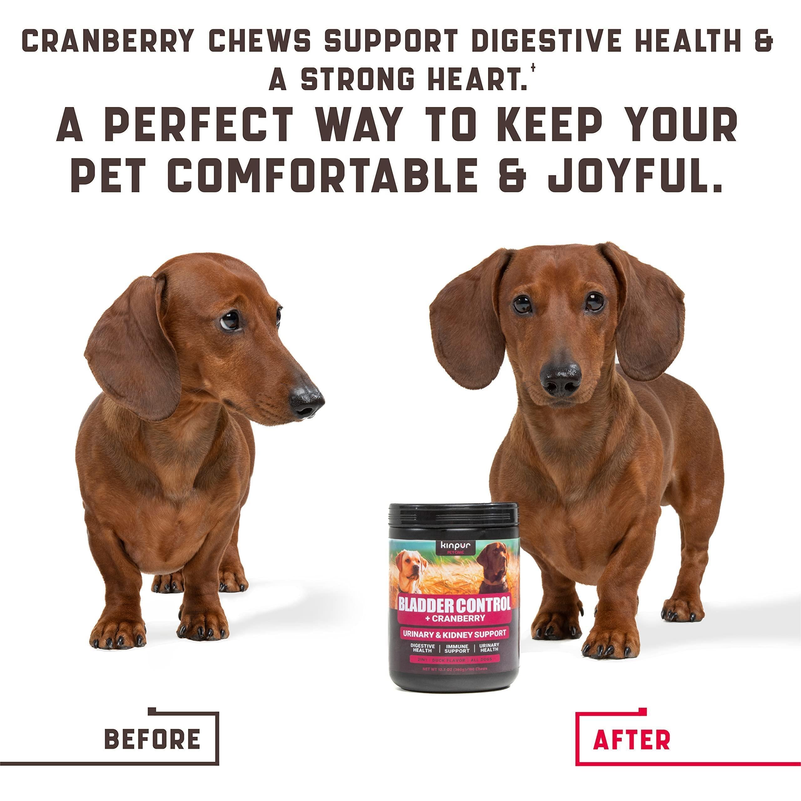 Cranberry Chews for Dogs - UTI Support