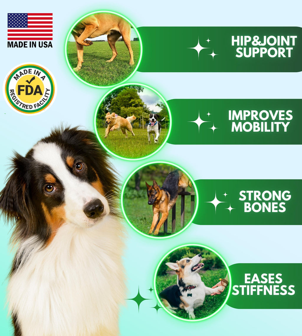 Hip & Joint Dog Supplement - 120 Chews