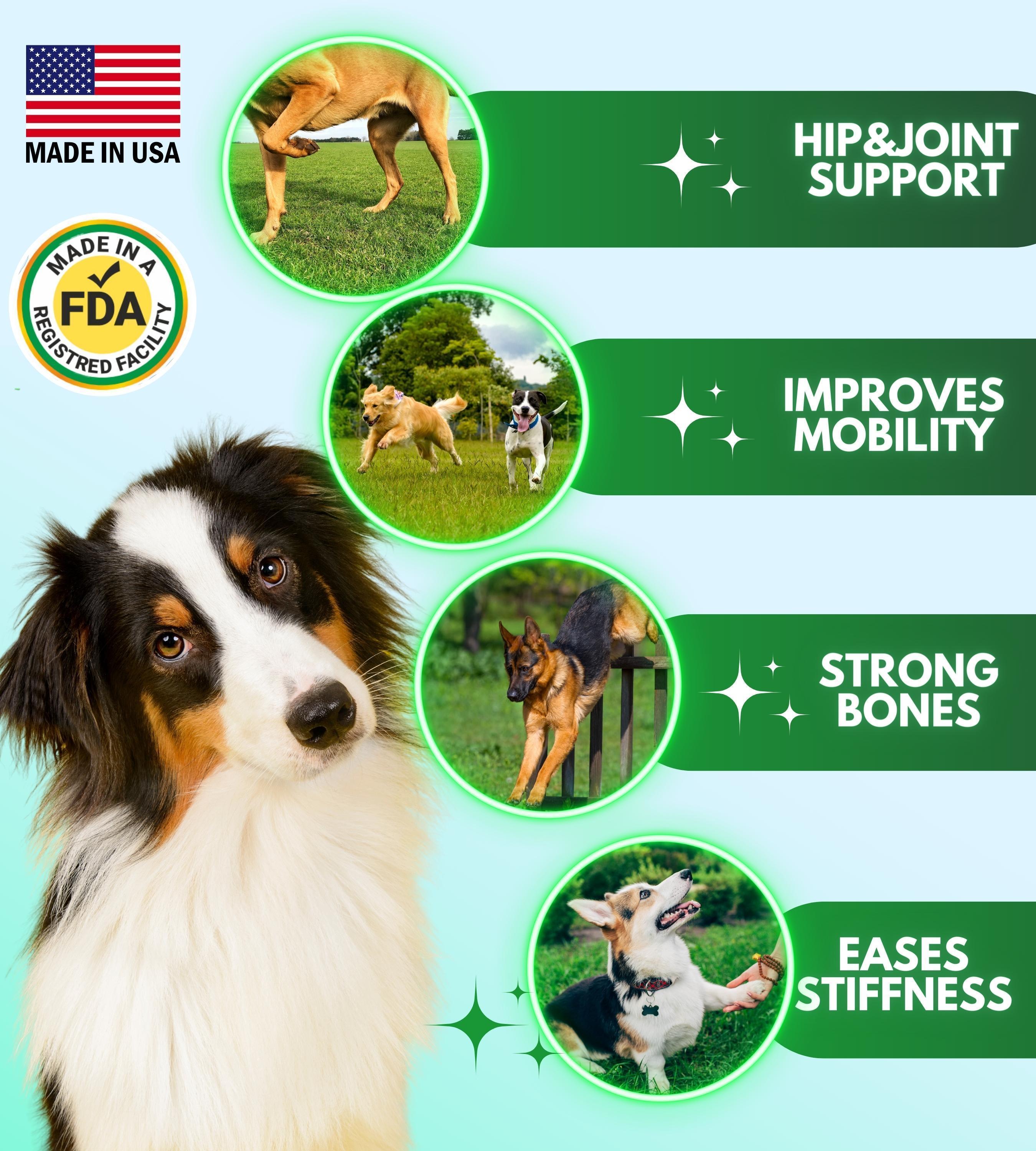 Hip & Joint Dog Supplement - 120 Chews