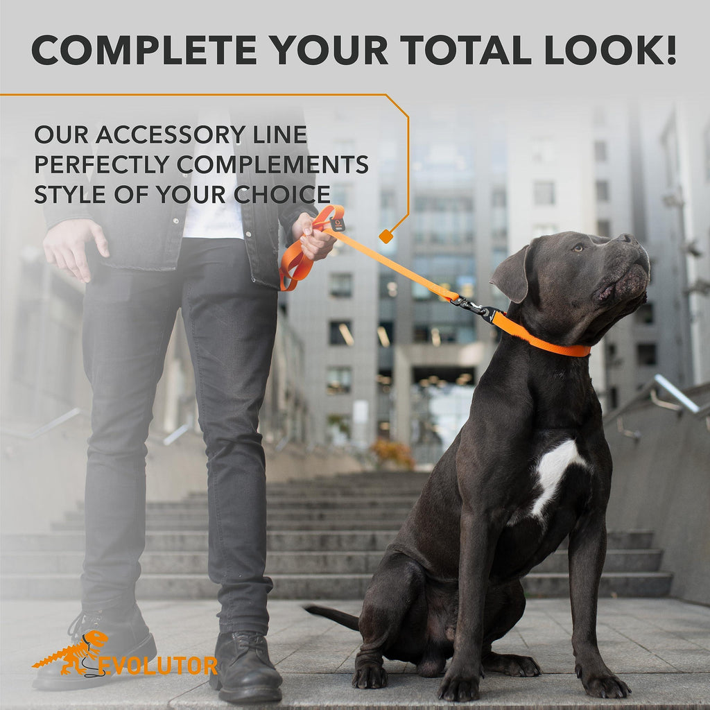 Heavy Duty Dog Leash - Orange 4Ft