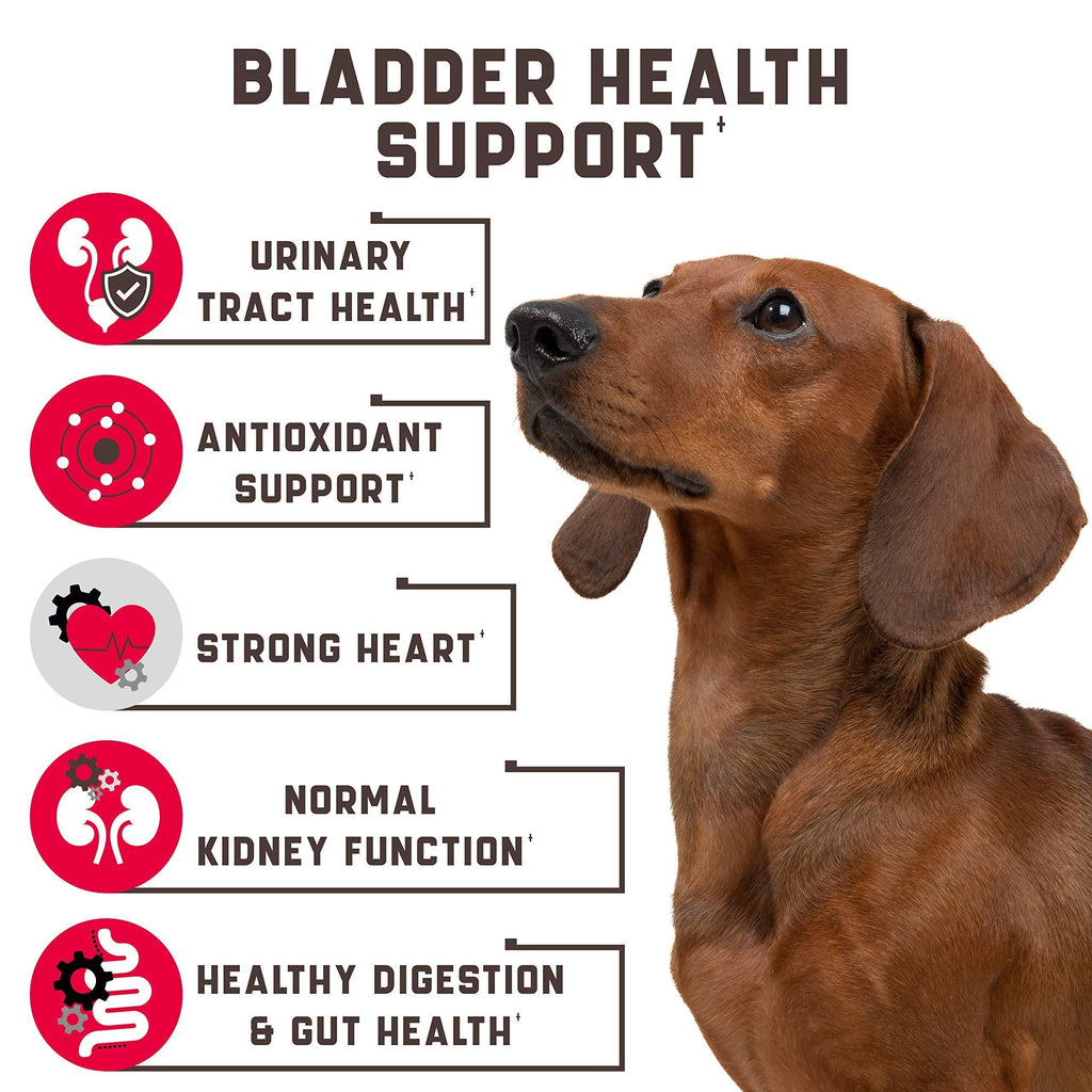 Cranberry Chews for Dogs - UTI Support
