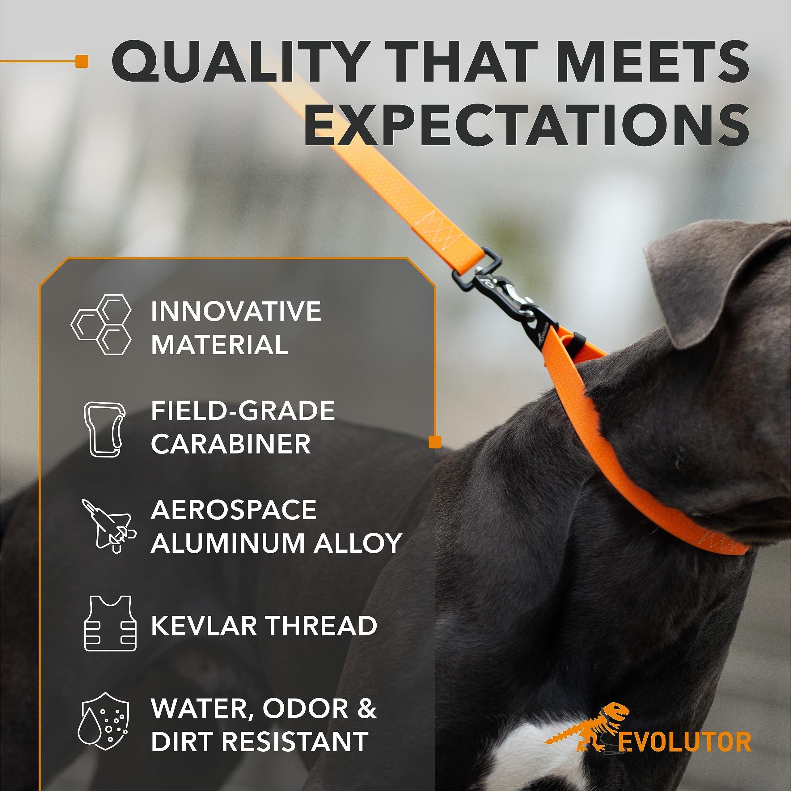 Heavy Duty Dog Leash - Orange 4Ft