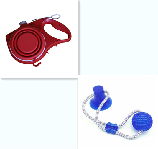 Pet Leash, Water Bottle & Cup Set