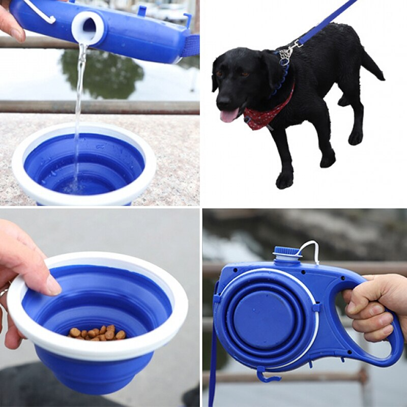 Pet Leash, Water Bottle & Cup Set