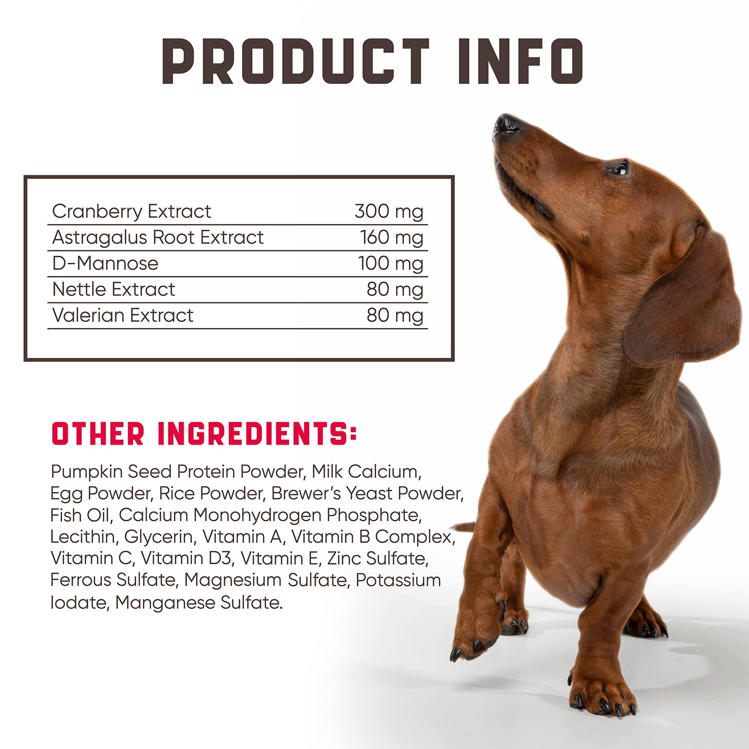 Cranberry Chews for Dogs - UTI Support
