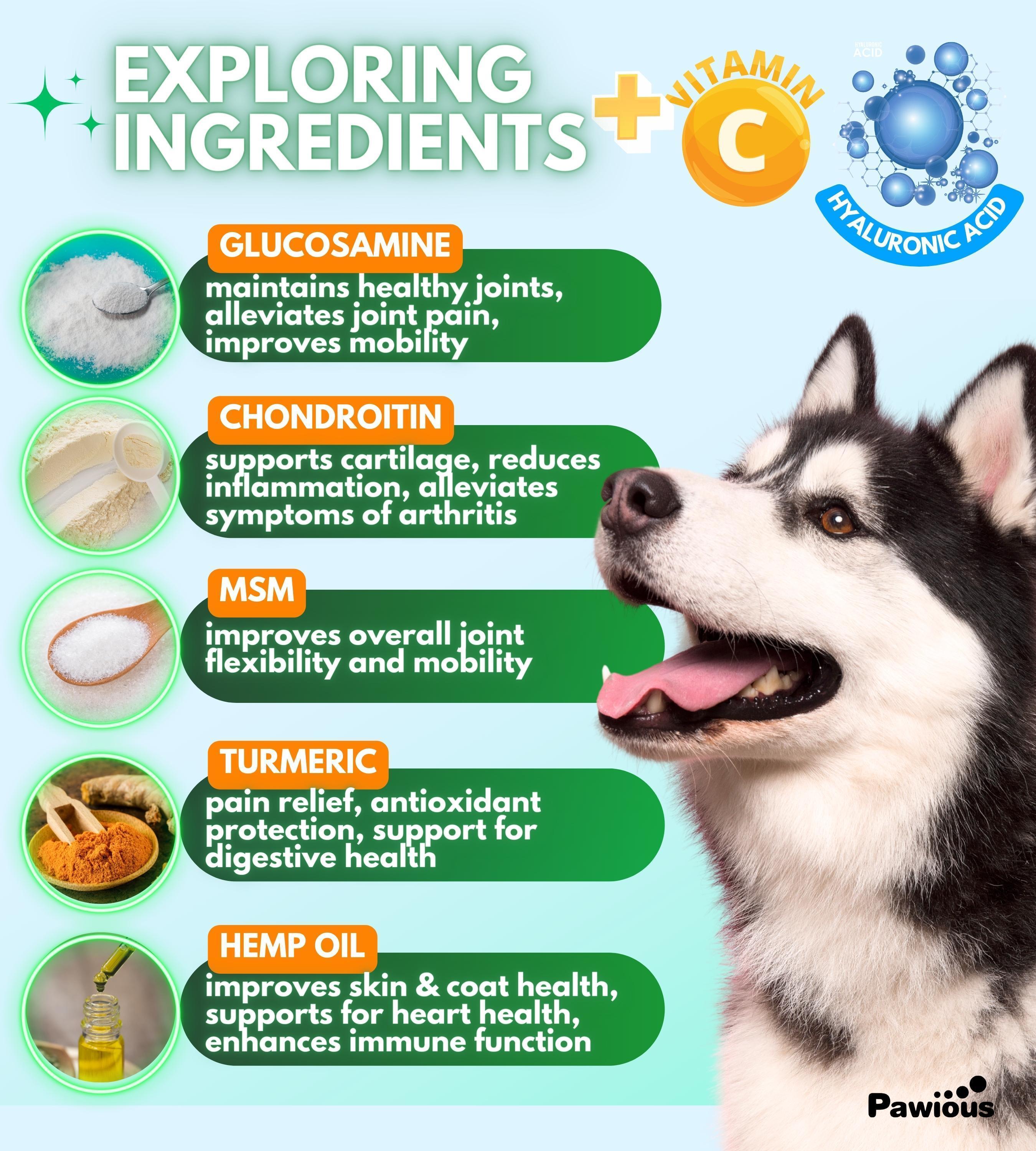 Hip & Joint Dog Supplement - 120 Chews