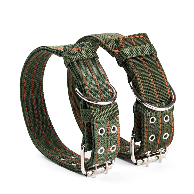 Dog Collar - Nylon Canvas Multi-Color