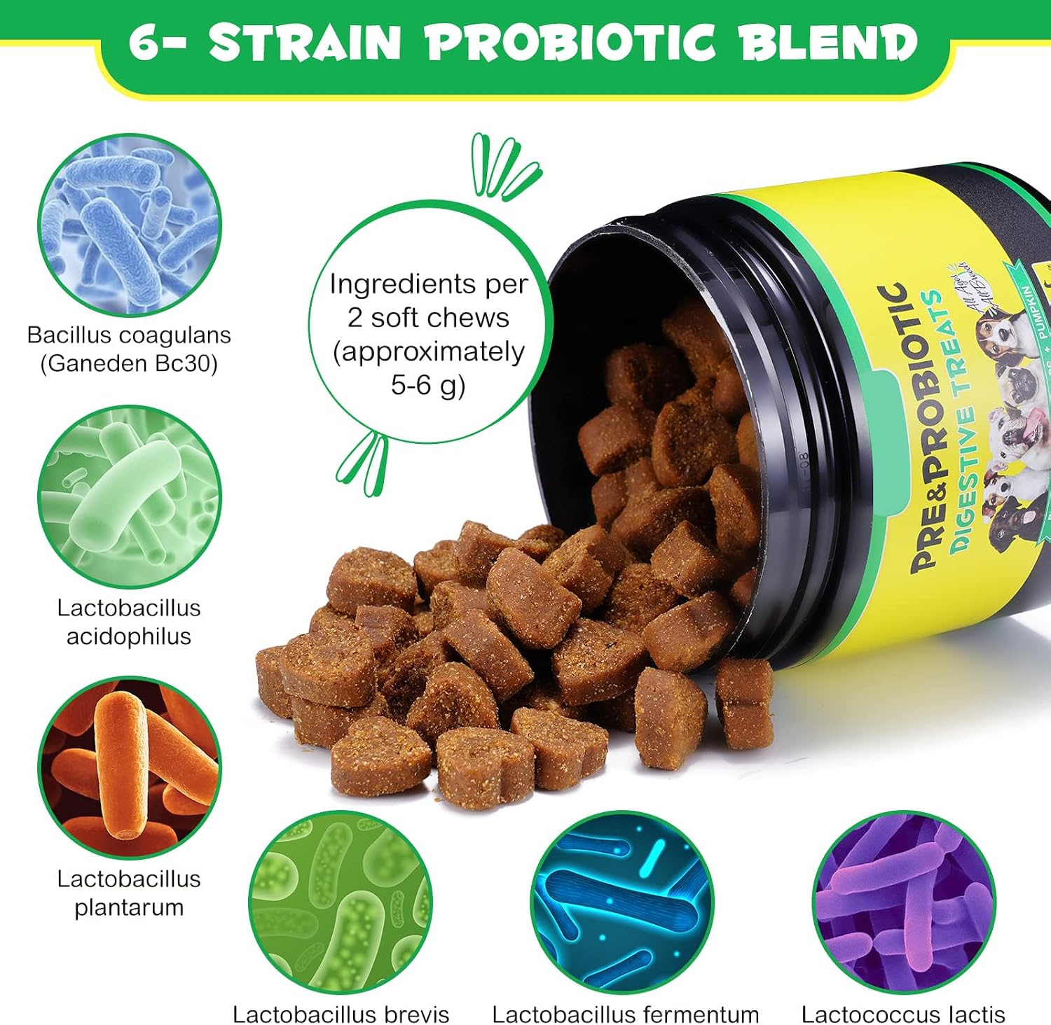 Dog probiotic chews for digestive health