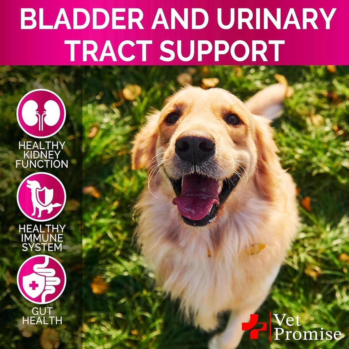 Dog UTI & Bladder Cranberry Supplement