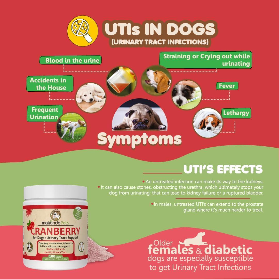 Dog Cranberry Supplement - UTI Support