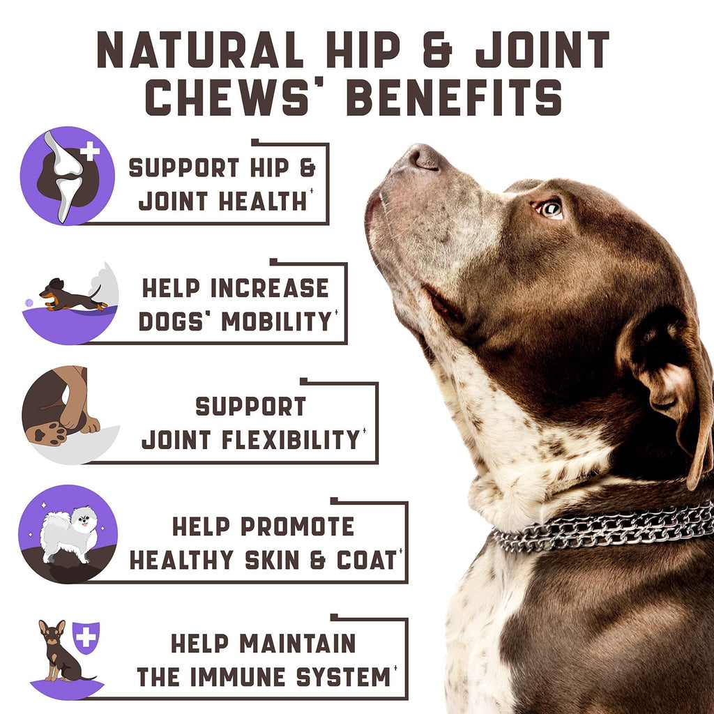 Glucosamine Joint Supplement for Dogs