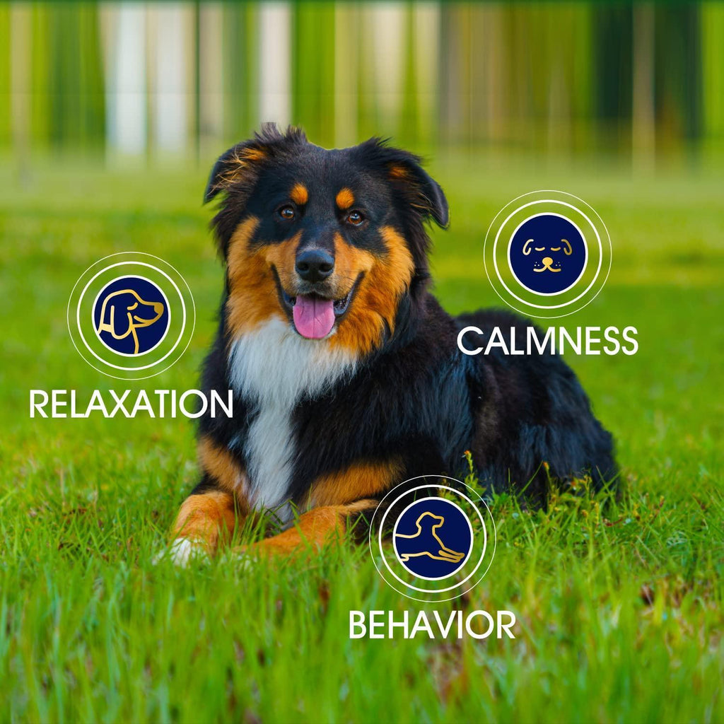 Hemp Calming Chews - Anxiety Relief