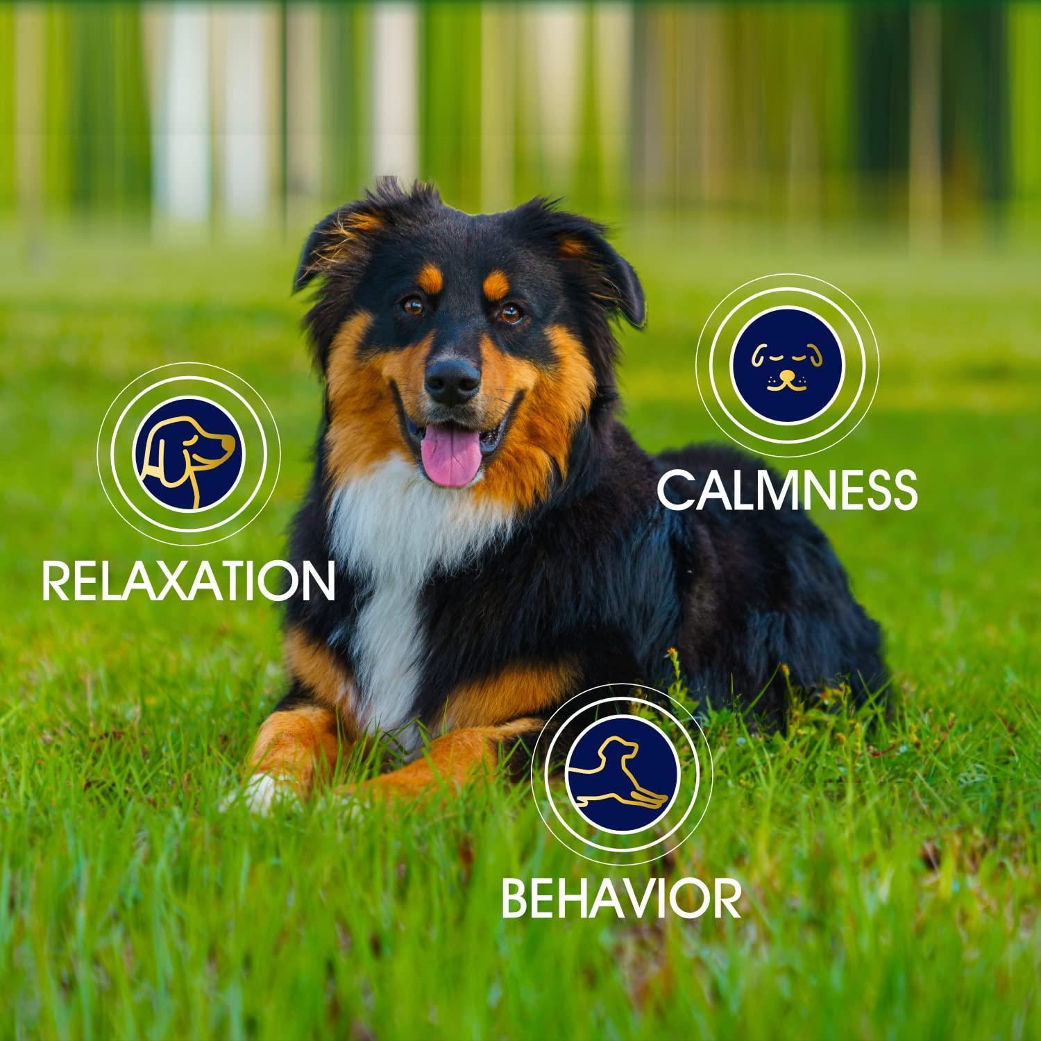Hemp Calming Chews - Anxiety Relief
