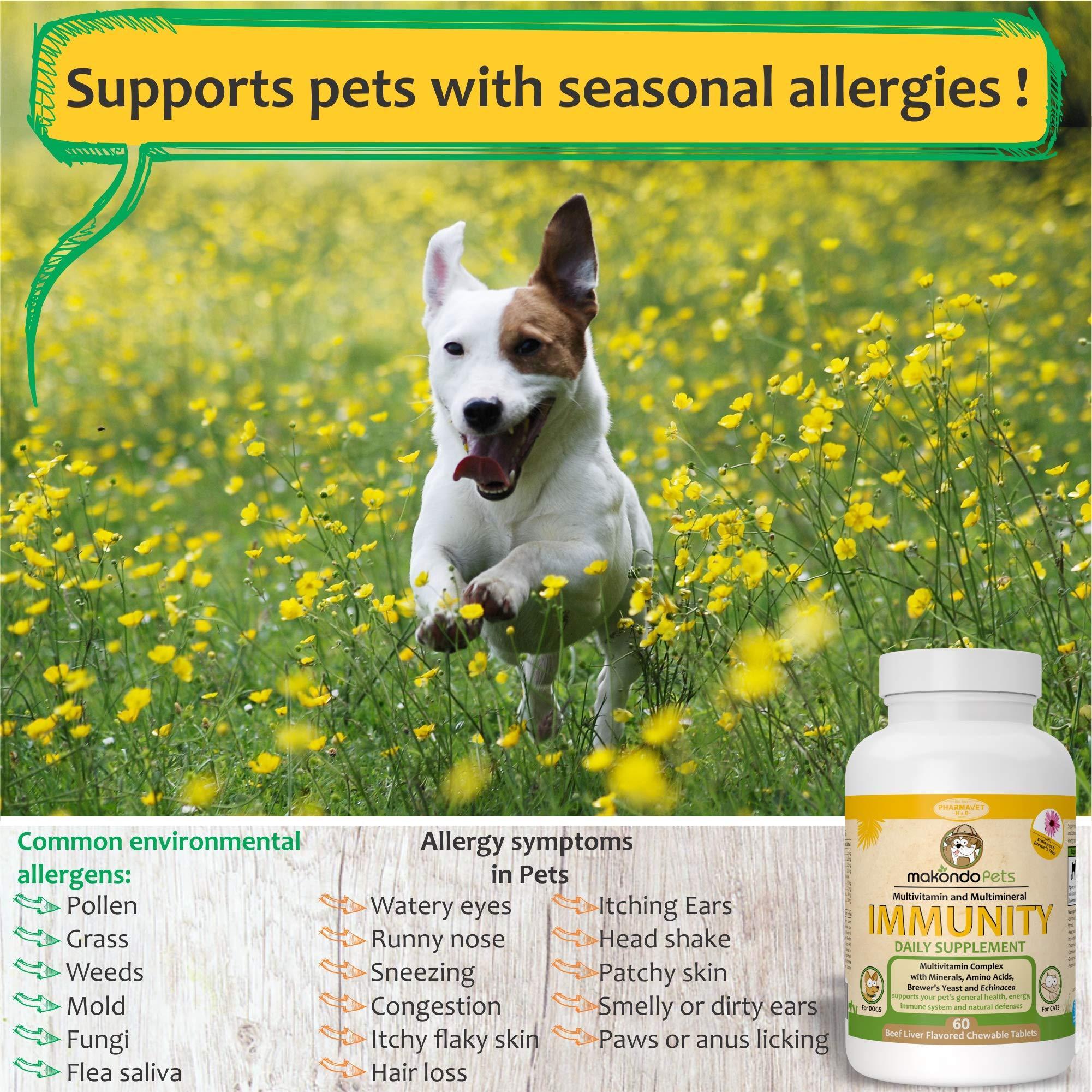 Dog Immune Support Supplement