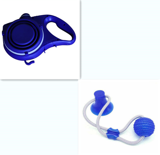 Pet Leash, Water Bottle & Cup Set