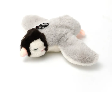 Pet Joy Interactive Toy - Fish & Bird