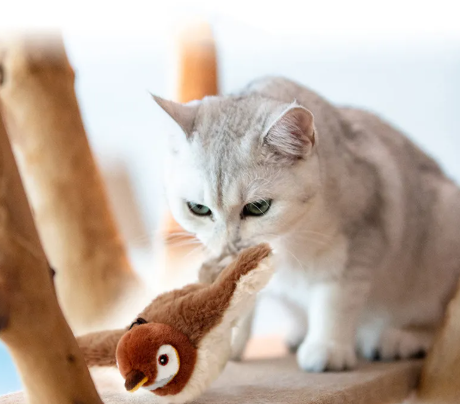 Pet Joy Interactive Toy - Fish & Bird