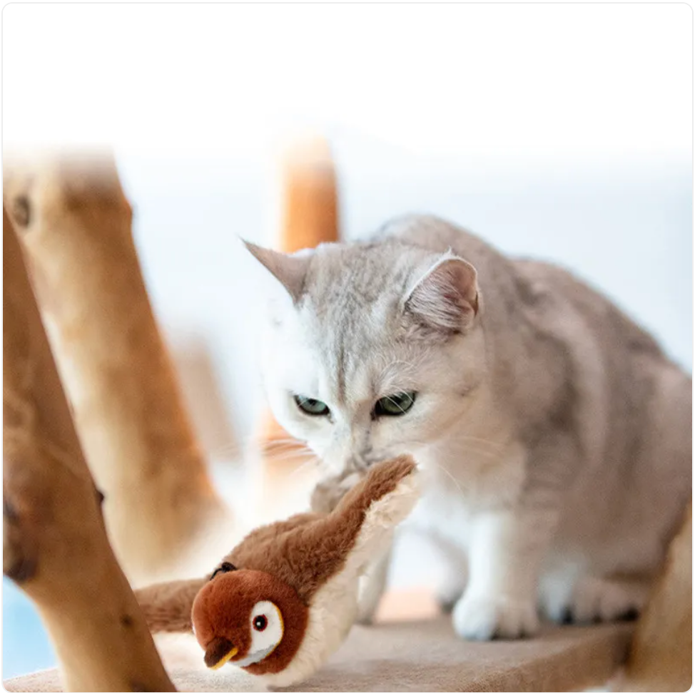 Interactive Plush Pet Toy - Fish & Bird