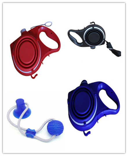 Pet Leash, Water Bottle & Cup Set