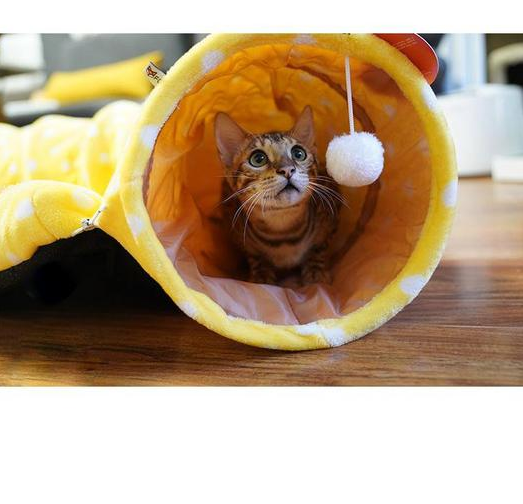 Cat Tunnel & Bed Comfort Set