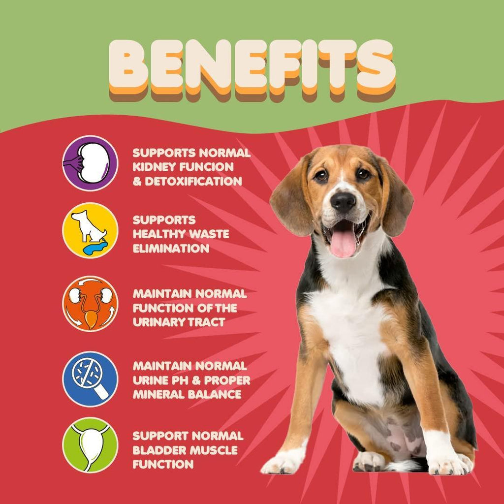 Dog Cranberry Supplement - UTI Support