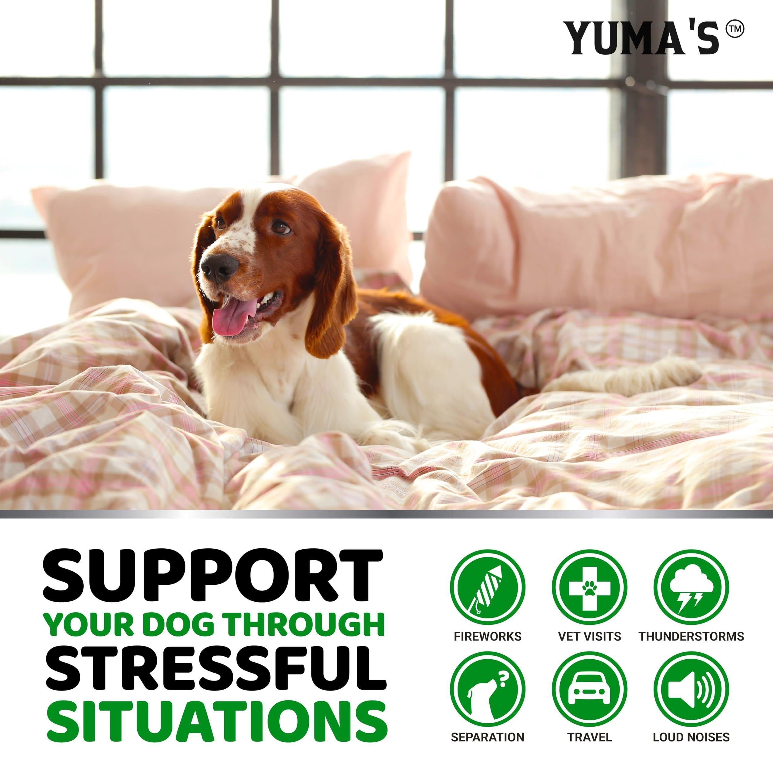 Hemp Calming Chews for Dogs - Advanced Formula