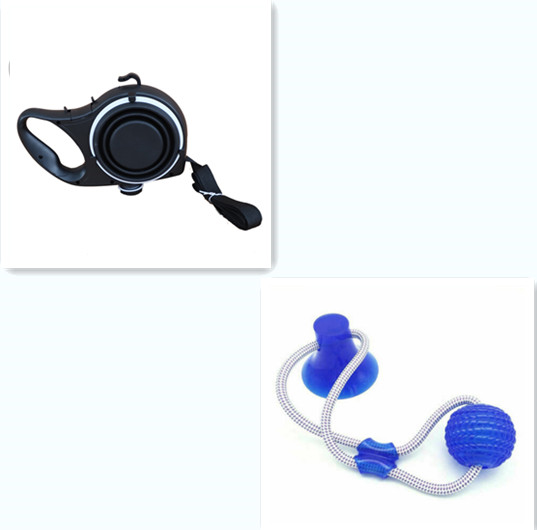 Pet Leash, Water Bottle & Cup Set