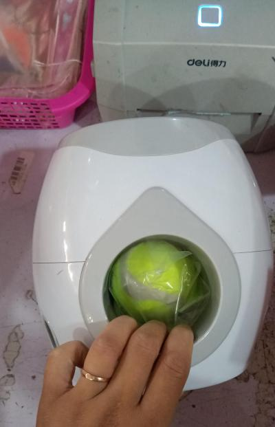 Interactive Pet Ball Launcher