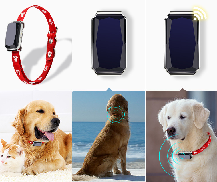 GPS Pet Tracker Collar