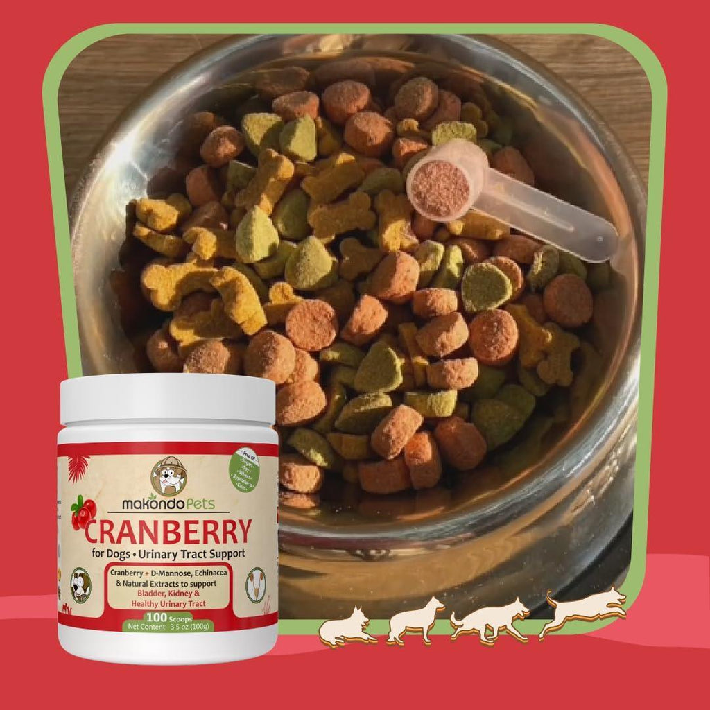 Dog Cranberry Supplement - UTI Support
