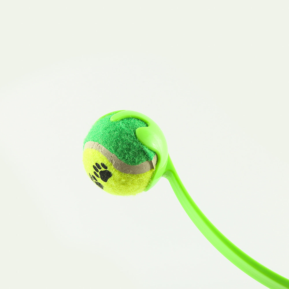 Outdoor Dog Training Throw Toy