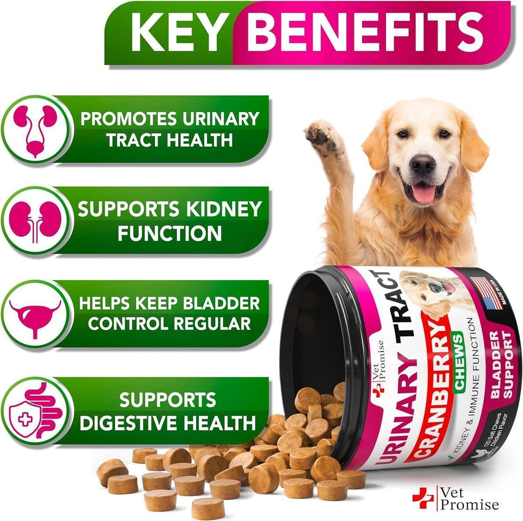 Dog UTI & Bladder Cranberry Supplement
