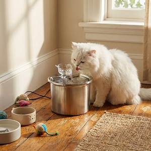 Stainless Steel Cat Water Fountain 2L
