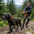 Orange Heavy Duty Dog Leash